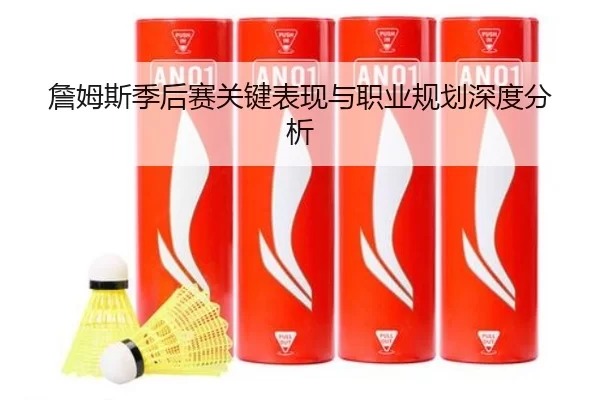 詹姆斯季后赛关键表现与职业规划深度分析