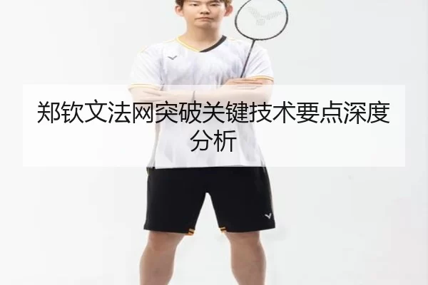 郑钦文法网突破关键技术要点深度分析